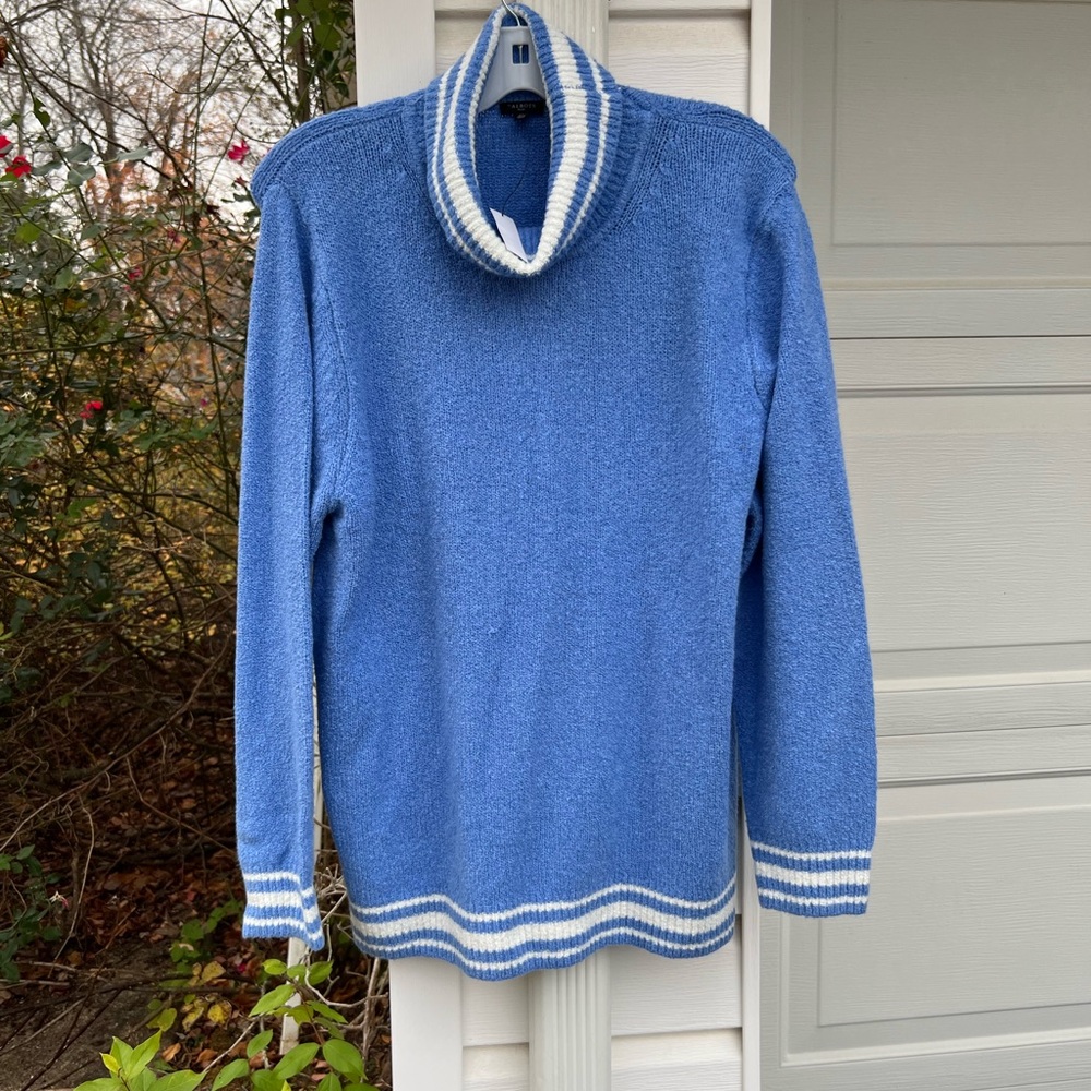 NWT Talbots Cozy Blue White Striped Long Sleeve Turtleneck